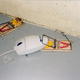 Image for article titled Computer Mouse R.I.P. In Five Years, Experts Say